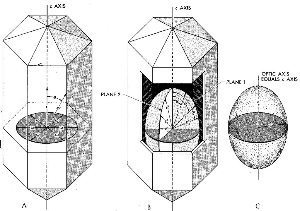 DESCRIZIONE DEI MINERALI Minerali Anisotropi Uniassici Sezione circolare dell indicatrice ( c) quindi si comporta come un mezzo isotropo Per la luce che viaggia parallela all asse