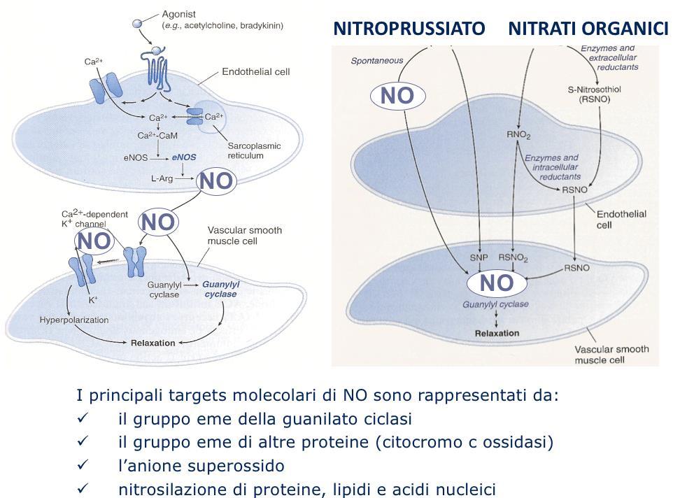 NITRODERIVATI: