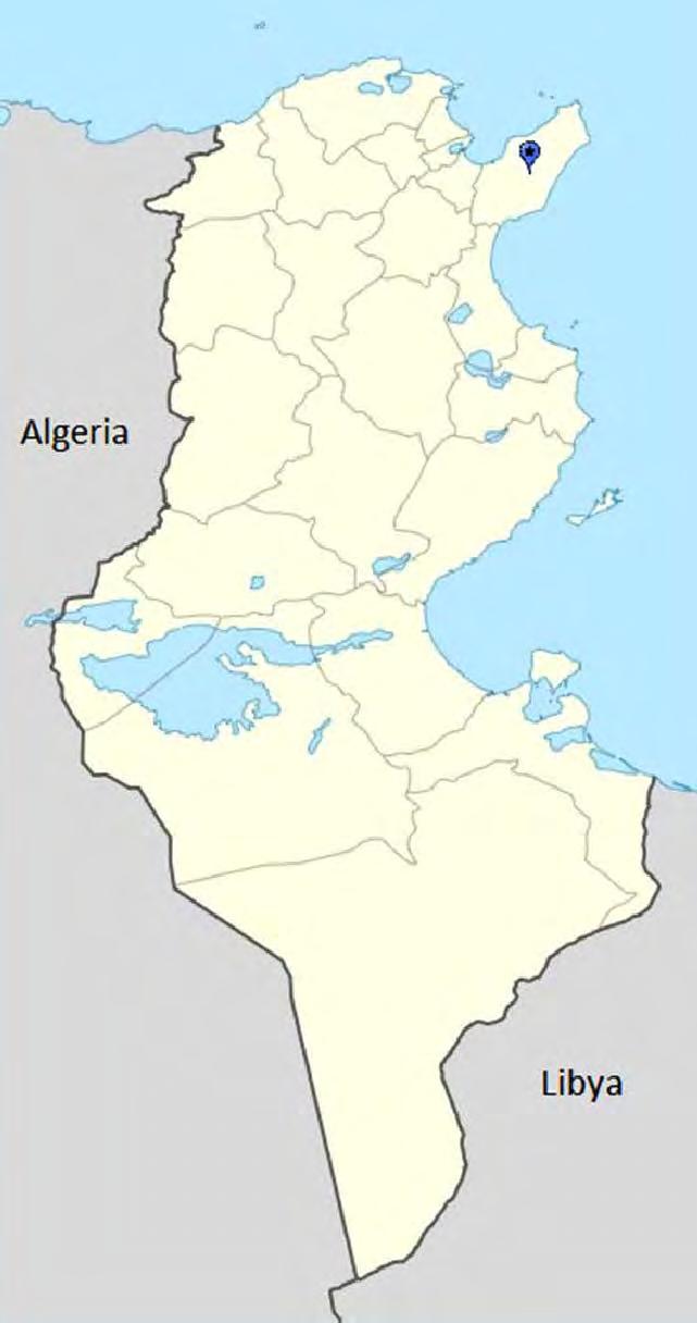 BTV in Tunisia Lo