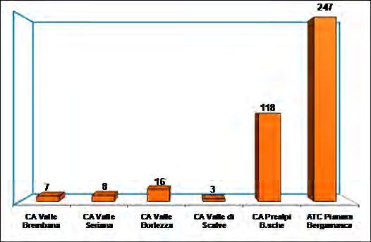 suddivisi per mese: Numero di