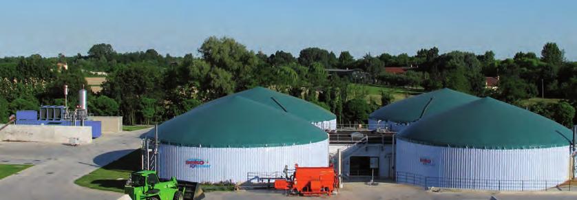 agroenergie impiegate con particolare interesse verso la cogenerazione di: - Biogas da biomasse agricole - Biogas da discariche di rifiuti e depuratori di