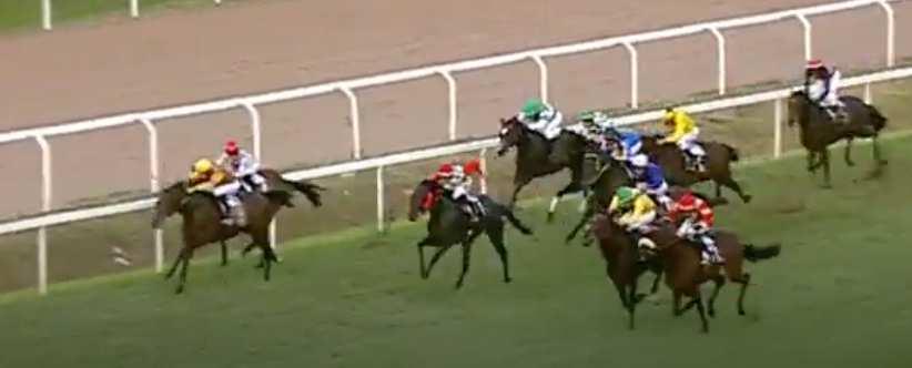 3 AGRID IL MORO (60.5) mbo4 - Benny the bull (usa) e Gal from ipanima (usa) - Diana Sa. _9. Roma 18.09.18 Fiocchi Ca. 60.5 terr. buono st.10 handicap 3> e.14.300 m.1700 p. P.Piccola RAT.90.0 - VAL.96.