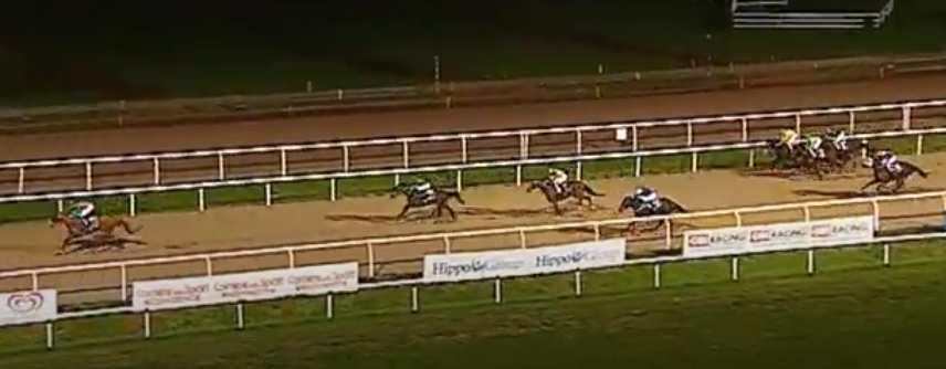 8 SECRET GARDEN (50) fb4 - Montalegre (ire) e Green reew (ire) - Iacopini Ri. _5. Roma 02.10.18 Iacopini Ri. 50 terr. aw st.8 handicap 3> e.11.000 m.1600 p. P.All Weather RAT.81.0 - VAL.81.0 - TOT.27.