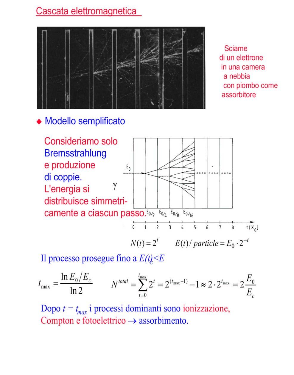 Produzione in cascata di elettroni e fotoni c Quindi E(tmax )=E 0 / tmax =E