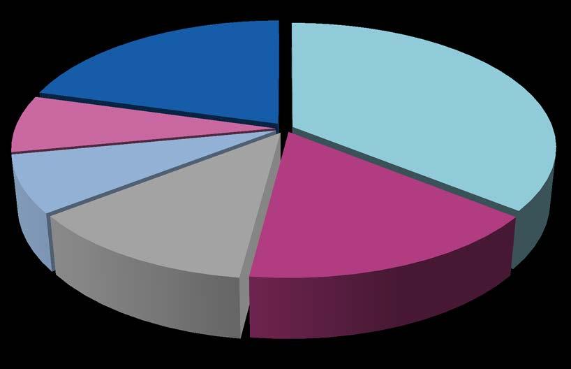 L Italia leader nello SSS nel Med France 45.3 7% Belgium 45.5 8% Greece 76 12% Others 126 21% Spain 99.