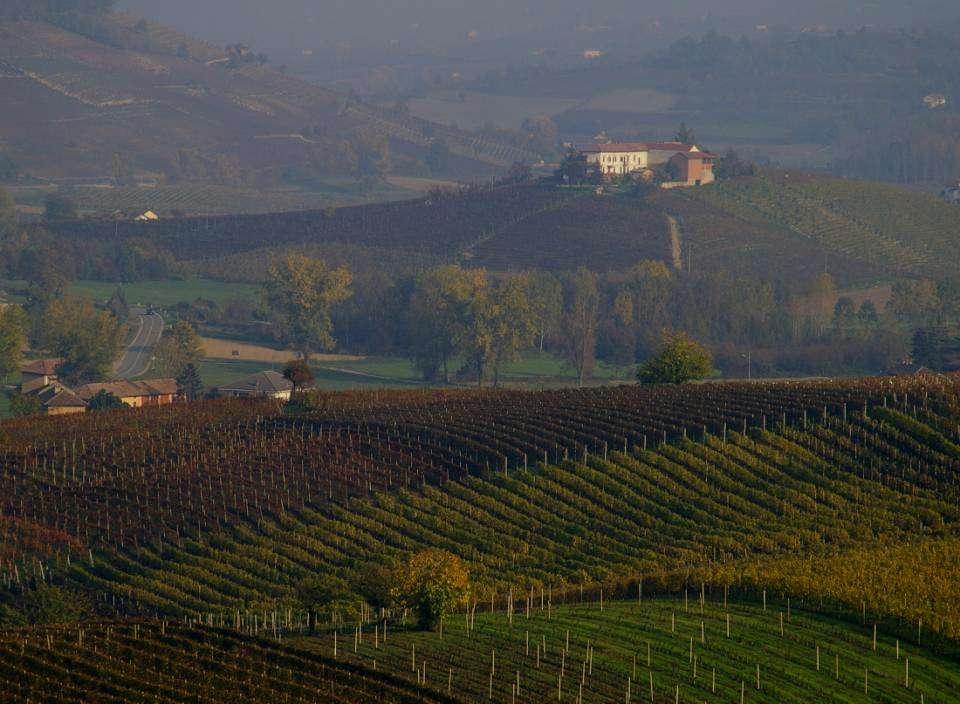 La vallata di Costigliole è una delle più deliziose e delle più ricche del Monferrato e il panorama del paese e del castello è veramente pittoresco.