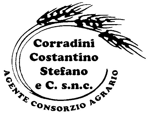 La manifestazione castelnuovese è stata promossa dal Comune di Castelnuovo, dalla Fondazione Pascoli con la collaborazione del comune di Barga.