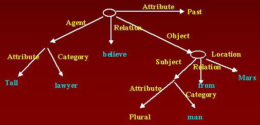 I modelli a rete Propositional network models Anderson, 1983 La conoscenza e rappresentata in reti.