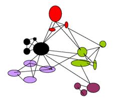 VISIONE TRADIZIONALE DEI CONCETTI: IN SINTESI Concetti = simboli connessi in modo arbitrario ai loro referenti astratti, non rimandano a percezione e azione AAA (astratti-arbitrari-amodali) statici