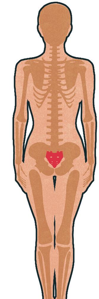 COME POSIZIONARE IL TRIANGOLO (CONTINUA) Posiziona il triangolo prima del supporto per il collo, collocandolo centralmente sotto il bacino, esattamente contro l osso sacro.
