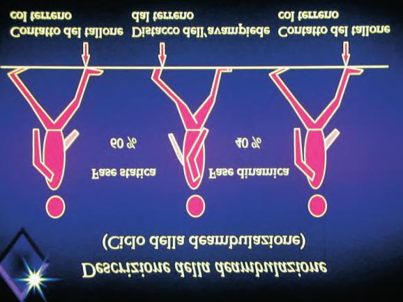 Fig. 1 Suddivisione del tempo Focalizzando l interesse in particolare su un arto, questo ciclo deambulatorio è suddivisibile in una fase statica e una fase dinamica detta anche fase di stance e di