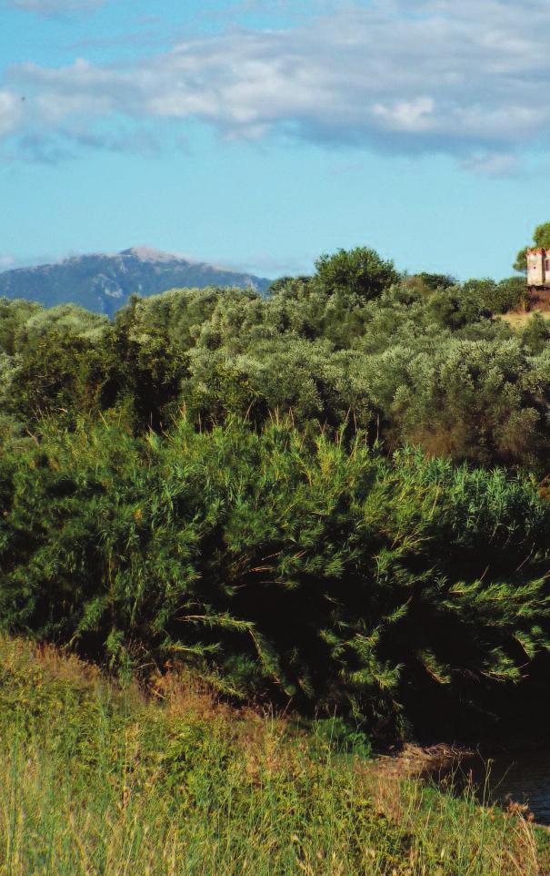 6 In primo piano il laghetto di Tor Mastorta con l omonimo casale.