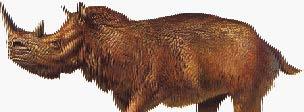 Era un mammifero di grandi dimensioni che somigliava un poco agli odierni rinoceronti, vedi? I corni erano lunghi più di 1 m ed erano piatti.