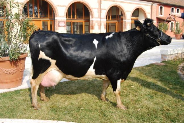 RISCHI SANITARI E BIOCONSERVAZIONE CENTRO