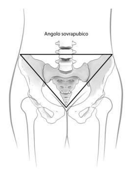 MISURARE angolo sovrapubico