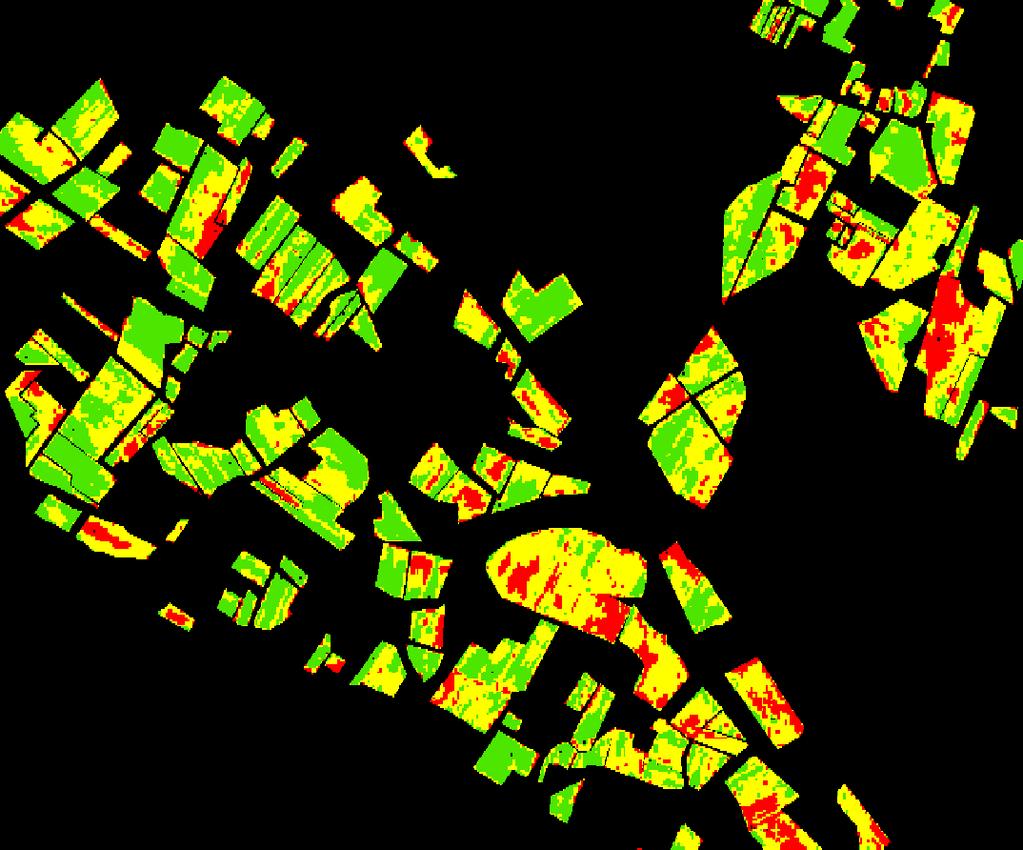 Fase 3 Mappe di vigore Situazione al