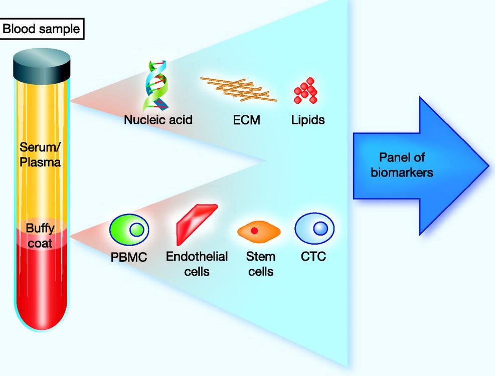 Biopsia liquida Il DNA libero circolante è estratto