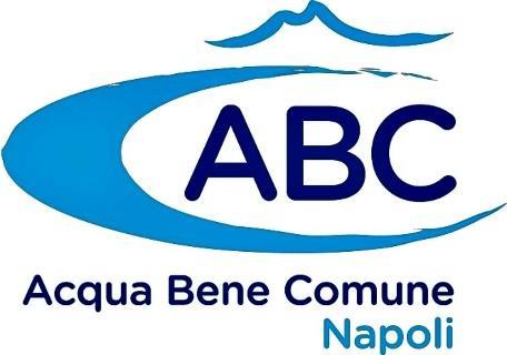 6. Due casi emblematici: Napoli, caso unico in Italia Acquedotto pubblico Infrastruttura particolare Nascita ABC Azienda speciale