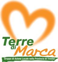 Treviso C.F./P.IVA 04212080263 Tel. 0422.208071 Fax 0422.