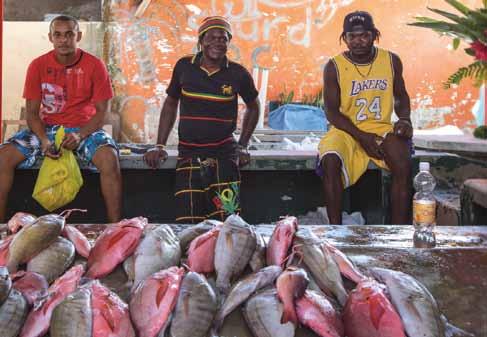 Le Seychelles sono un museo di storia