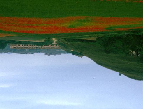 3) Realizzazione di un percorso naturalistico presso l area l comunale: : si potrebbe utilizzare il Piano dei Mondelli,, visto oggi solo come area non utile, ma che offre delle peculiarità