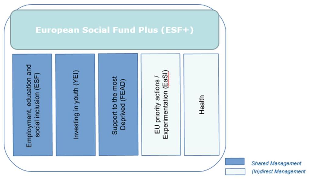 FSE+ : 5 fondi