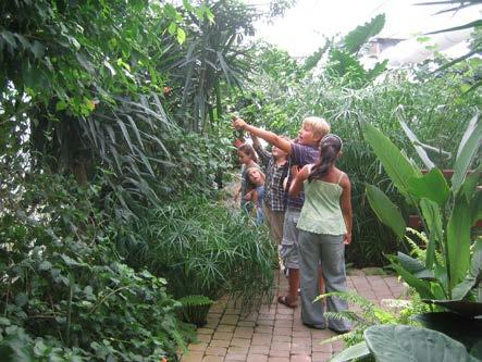 Casa delle Farfalle Originale e innovativo parco educativo, di proprietà del Comune di Cervia e inaugurato nel 2002, Casa delle Farfalle è un polo importante per la conservazione della biodiversità e