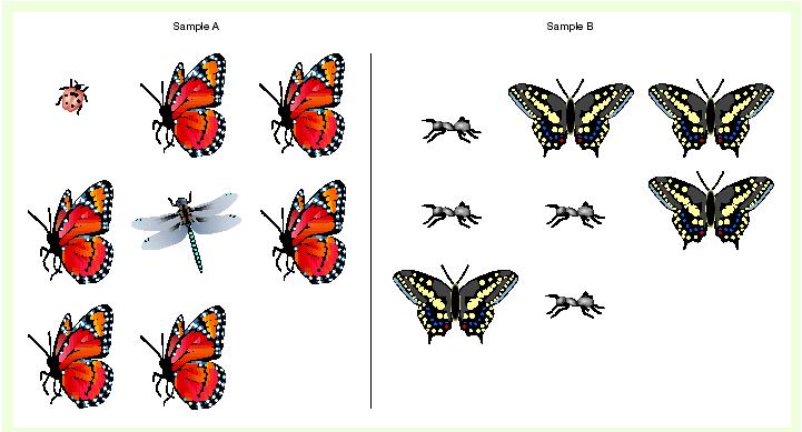 Campione A può essere considerato il più diverso perché contiene 3 specie ed il B solo 2.