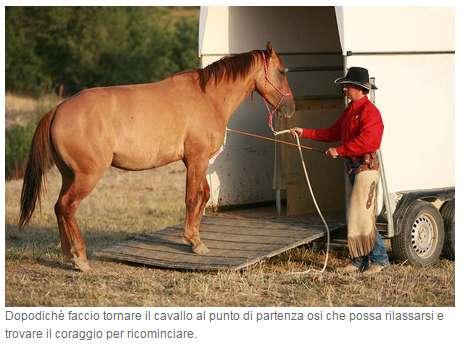 Il rinforzo positivo è la ricompensa Ogni volta che il cavallo avanza, anche di poco, diamogli un rinforzo positivo, facendo una pausa e lasciandolo tranquillo.