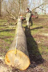 In Tabella 5 sono riportate le redditività di 26 modelli di gestione di terreni agricoli in cui si confrontano colture agrarie, sistemi di arboricoltura da legno monociclici ( noce e pioppo ) e