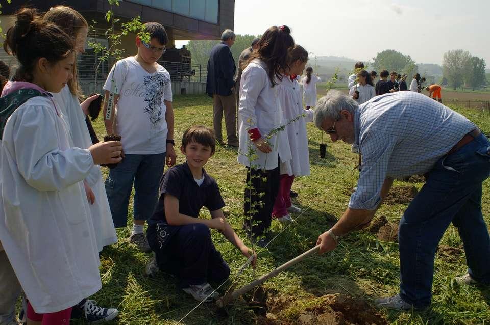 PIANTAGIONI DI ALBERI CON I BAMBINI PRESSO L EX-CANTINA SOCIALE DI ISOLA D ASTI (AT) Iniziativa