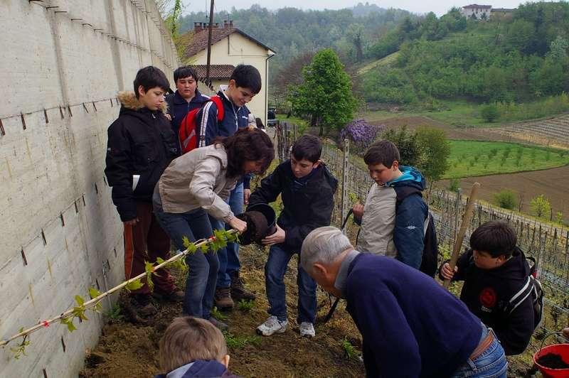 RINVERDIMENTO CON GLI STUDENTI DEI MURI IN CEMENTO DEL COMUNE DI VINCHIO (AT) (Zona Candidata Unesco) Iniziativa