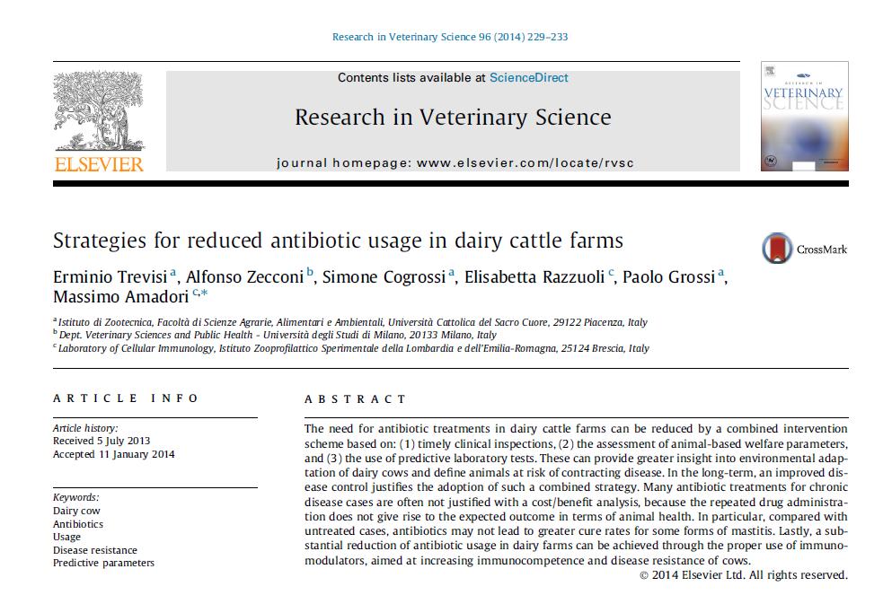 L ESEMPIO DELLA BOVINA DA LATTE Le bovine ad alta produzione di latte sono più suscettibili alle malattie infettive (es. mastite), stress metabolico (es.