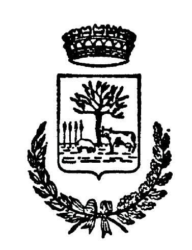 All. A) C O M U N E D I R O M B I O L O Provincia di Vibo Valentia R E G O L A M E N T O PER L'EROGAZIONE DEI "BUONI LAVORO" (VOUCHER) RELATIVI A PRESTAZIONI LAVORATIVE DI TIPO OCCASIONALE SVOLTE IN