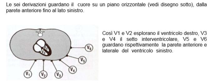 LE DERIVAZIONI ELETTROCARDIOGRAFICHE Come