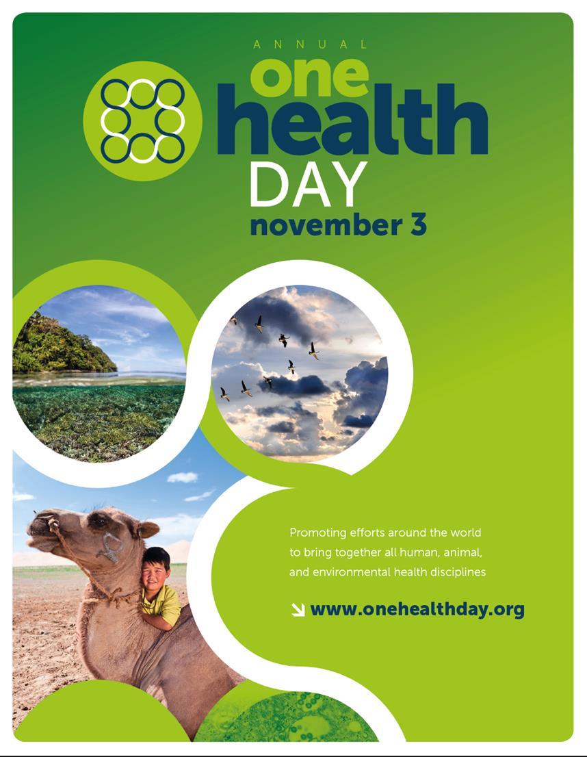 Con la definizione One Health si riconosce che la salute degli esseri umani è legata alla salute degli animali e dell'ambiente.