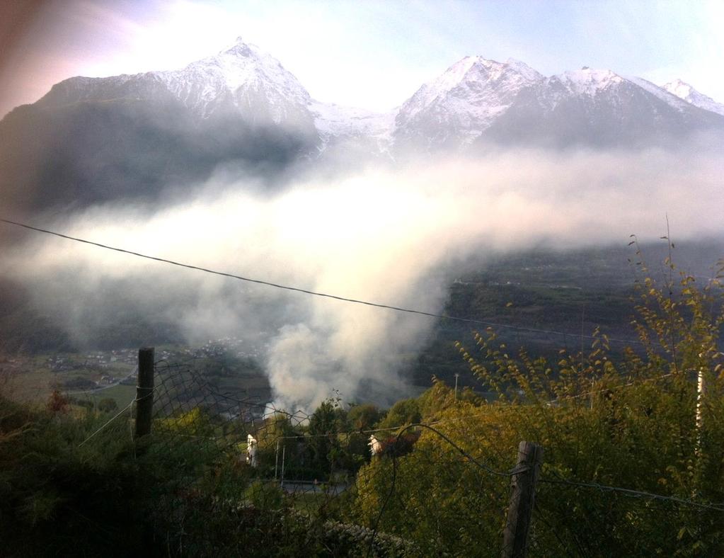 La combustione della legna In Valle d Aosta il riscaldamento domestico utilizza spesso come combustibile la legna e suoi derivati.