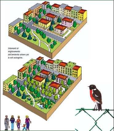 che lavorare per reti ecologiche, si sono sviluppate OASI ECOLOGICHE.