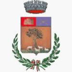 COMUNE DI TINNURA ORDINANZA DEL SINDACO Numero Categoria: 5 Amministratori Responsabile: Fadda Pietro in data 27/09/