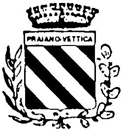 Comune di Praiano Prov. di SALERNO COPIA DI DELIBERAZIONE DEL CONSIGLIO COMUNALE N. 11 del Reg. OGGETTO: Proposta di project financing ai sensi dell art.