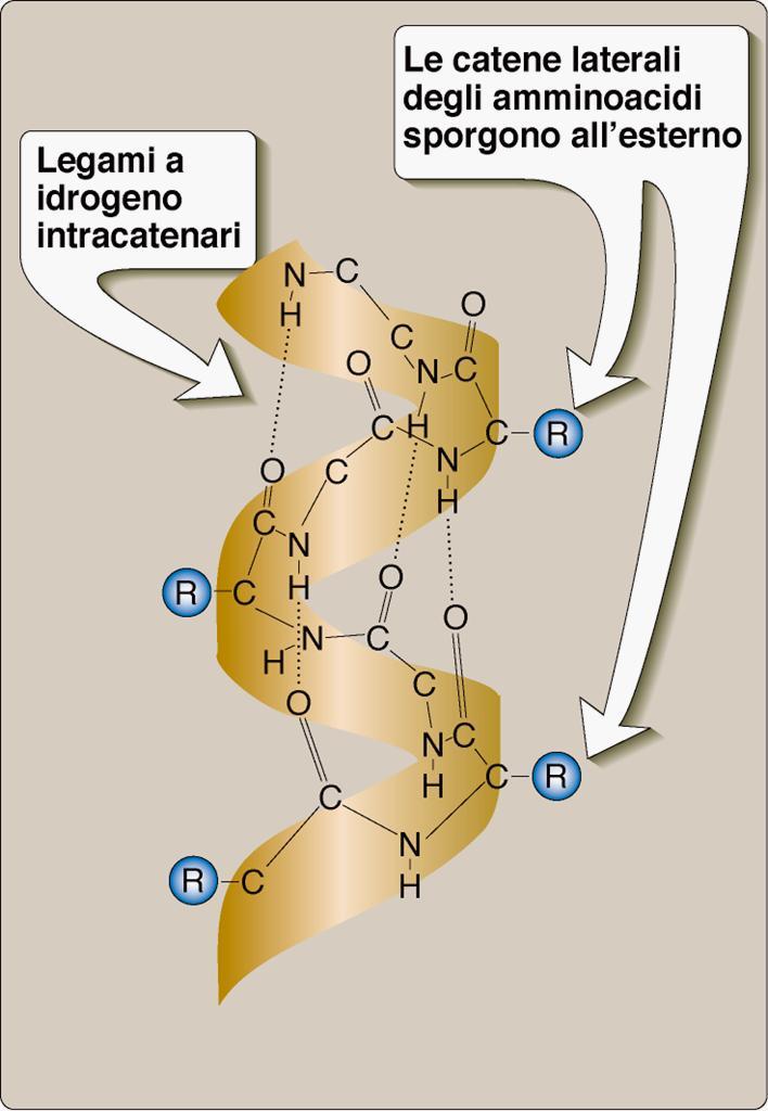 α-elica