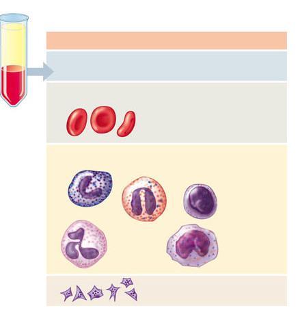 Composizione del sangue Componenti Acqua Ioni inorganici: Sodio Potassio Calcio Magnesio Cloruro Bicarbonato Plasma (55%) Principali funzioni Solvente per diluire le