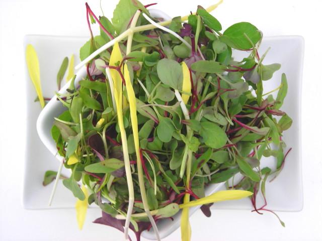 microgreens: un po di storia Quando,