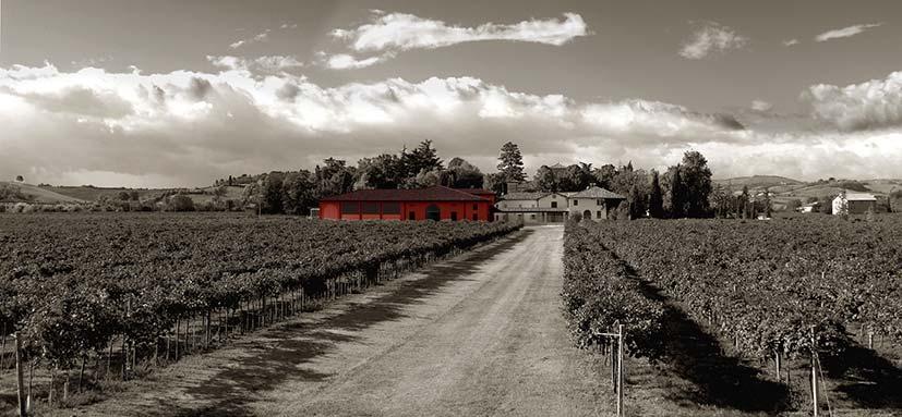 Una realtà nata su solide e antiche radici, riuscita in pochi anni a esprimere la migliore sintesi tra avanguardia e rispetto della tradizione vinicola emiliana.