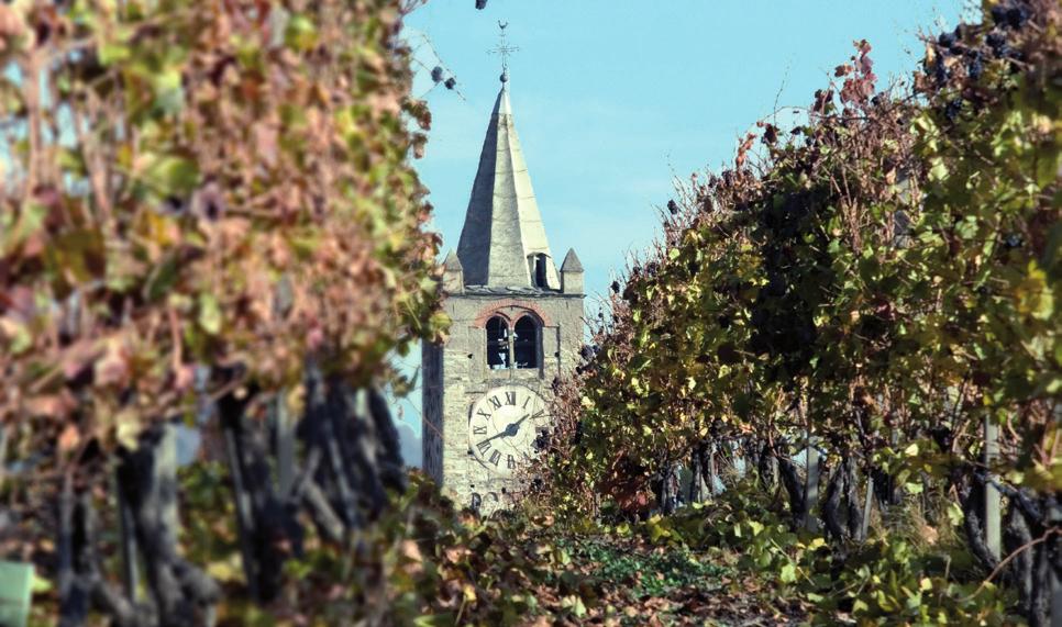 >_l azienda L azienda Ottin nasce da una passione. La passione di un giovane agricoltore per il vino e per la sua terra.