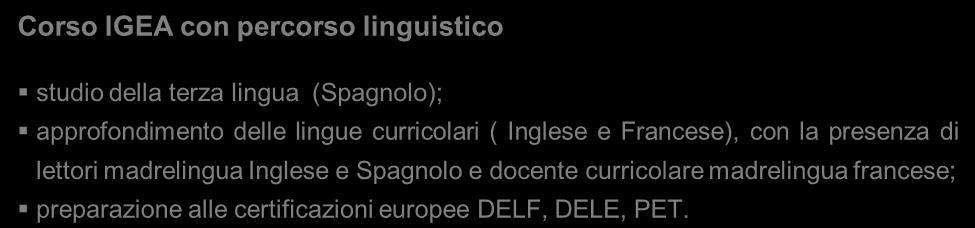 Corso IGEA con percorso informatico approfondimento dell uso di Word e Access, applicati alla ragioneria; preparazione alla patente