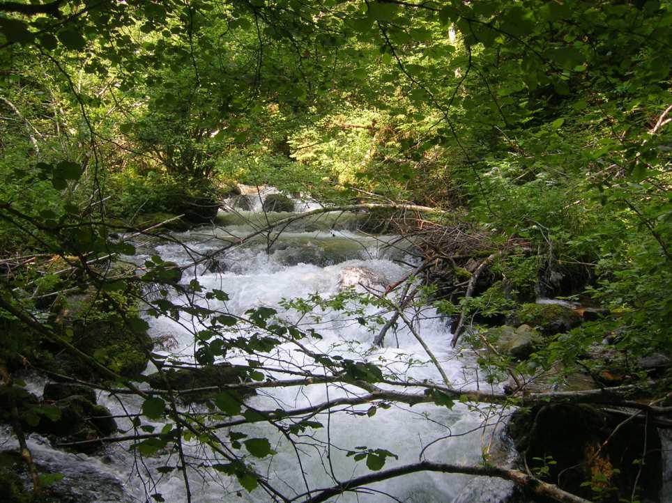 parallela al torrente, mentre in sinistra ha un estensione superiore ai 30 metri. Si riscontra sempre una discreta presenza di alghe filamentose.