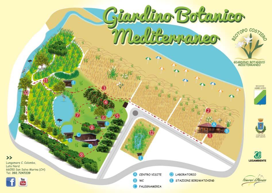 Mediterraneo, parte del sito SIC compreso nel comune di San Salvo. Esso partirà dalle strutture del Centro visita, proseguirà nell area dunale e quindi all interno del giardino botanico.