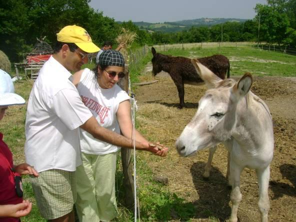 Severino, Mille Colori Camerino, Comunità San Claudio