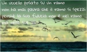 Incontro: LA FIDUCIA Fidati di te stesso: ne sai più di quanto credi (Benjamin Spoke) E difficile fidarsi ancora, quando la tua fiducia è stata tradita tante volte (My Lady Cherry) Abbiate paura ma